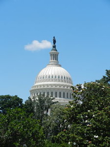 Capitol Building, Washington, DC