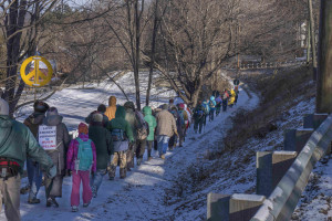 Marching through Conway  Photo @ Robert Jonas, 2016