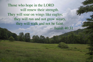 Those who hope in the LORD.... (image by Robert A. Jonas)