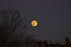 "Supermoon" rising over Heifer Farm, the closest full moon in 68 years -- look for the next one in 2034. Photo credit: Robert A. Jonas