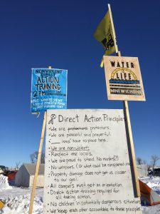direct-action-principles-w-flags