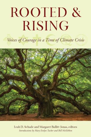 Rooted and Rising Cover